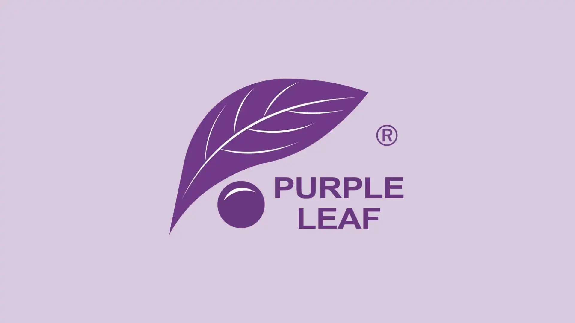 Purple Leaf